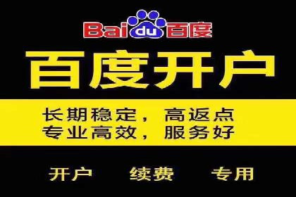 网站sem托管案例分享：如何精准投放广告